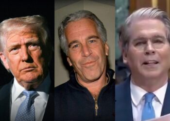 Trump official makes HUGE Epstein MISTAKE