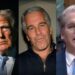 Trump official makes HUGE Epstein MISTAKE