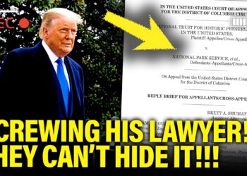 Trump SCREWS His Own LAWYERS as His DECLINE Leaves Them Scrambling