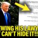 Trump SCREWS His Own LAWYERS as His DECLINE Leaves Them Scrambling