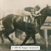 Man o’ War, Narrated by Governor Andy Beshear