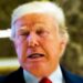 Trump suffering FULL BLOWN economic collapse