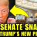 🚨Trump’s Tulsi Gabbard REPLACEMENT Just OUTRAGED CONGRESS!