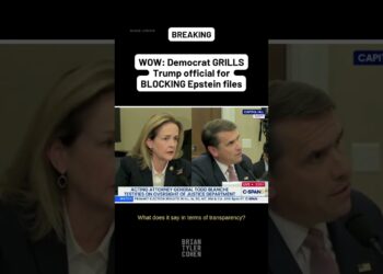 WOW: Democrat GRILLS Trump official for BLOCKING Epstein files