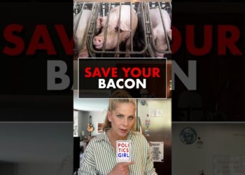 Save Your Bacon