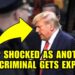 Trump STUNNED As MAGA INSIDER Just CONFESSED TO A CRIME🚨