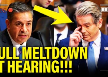 🚨 Trump Cabinet CRASHES AND BURNS under CROSS-EXAM!!!