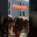 Behind the Scenes of Mackinac Island