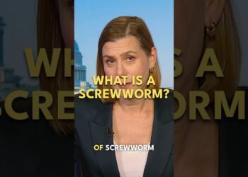 What is a Screwworm?