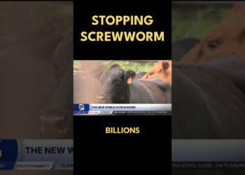 Stopping the screwworm.