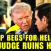 🚨Trump Just Got DESTROYED By SHOCKING NEW COURT ORDER! 🚨Trump Just Got DESTROYED By SHOCKING NEW COURT ORDER!