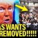 Trump IN TERROR as TEXAS WANTS him THROWN OUT!!!!