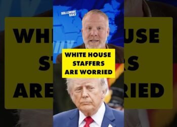 Trump’s White House Staff Is In Panic Mode #dollemoredaily #donaldtrump #politics