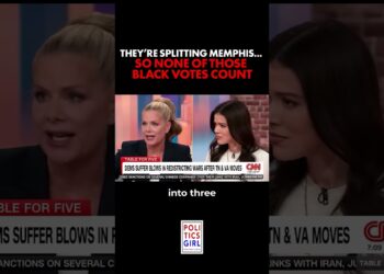 They’re Splitting Memphis… So None Of Those Black Votes Count