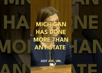 Michigan has done more than any state