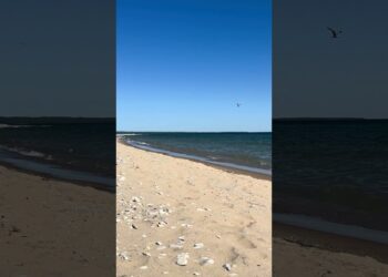 Your Michigan Moment of the day.