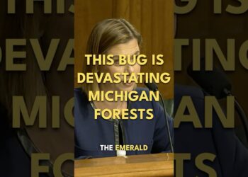 What is the Emerald Ash Borer? And why is it important?