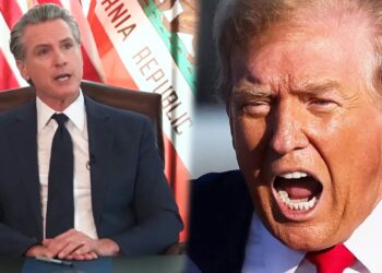 Newsom just made Trump VERY ANGRY