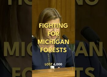 Fighting for Michigan Forests