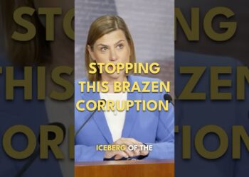 Stopping this Brazen Corruption