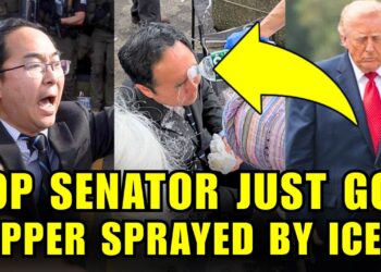 🚨Congress OUTRAGED As TRUMP’S ICE Just ASSAULTED A SENATOR