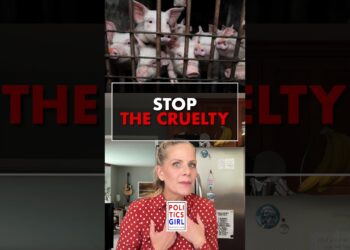 Stop the Cruelty