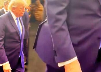 What is inside Trump’s pants?